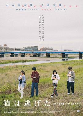 貓貓?zhí)幼吡?>
                                <div   id=