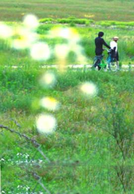 牽?；?>
                                <div   id=