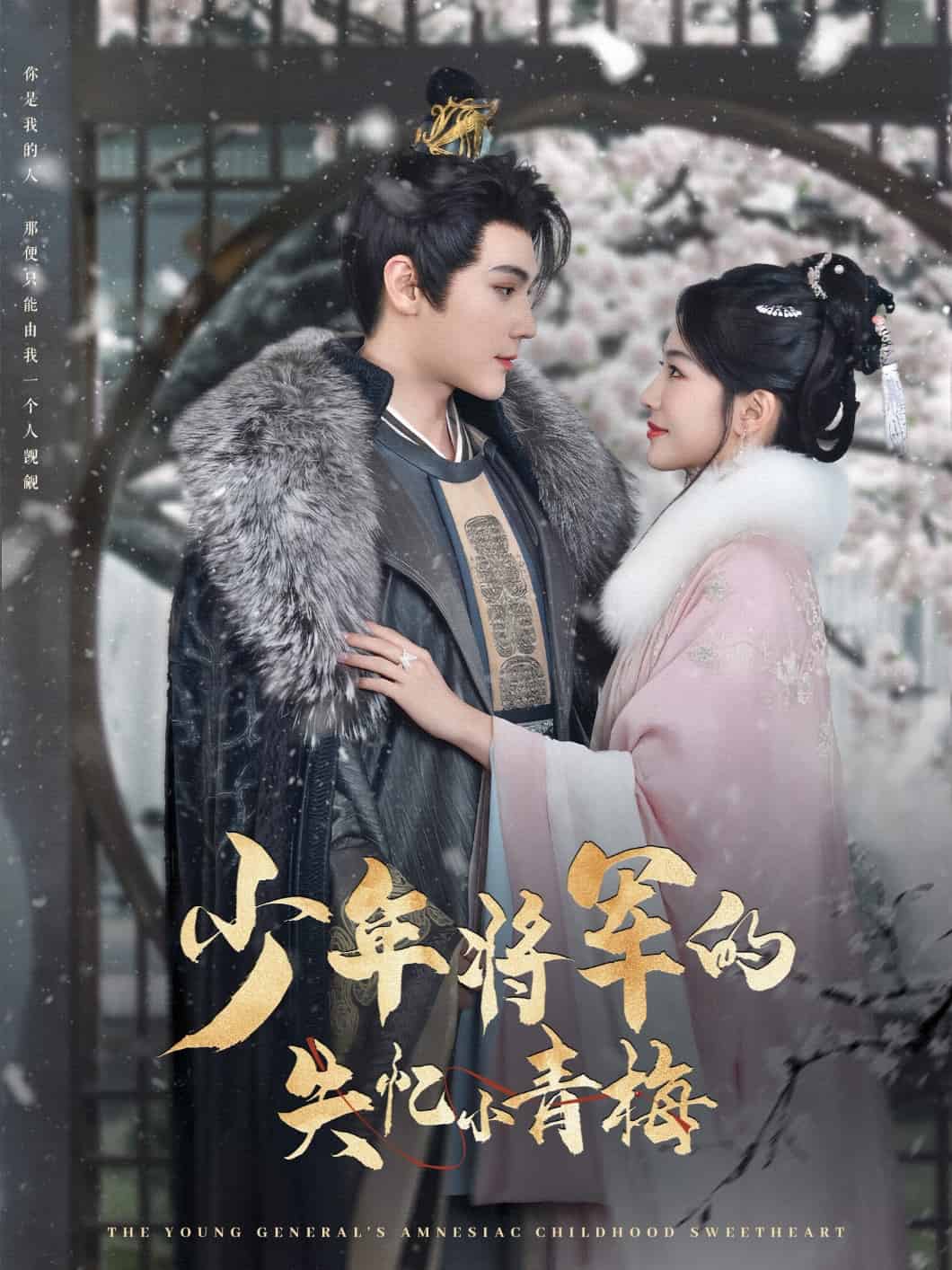 少年將軍的失憶小青梅