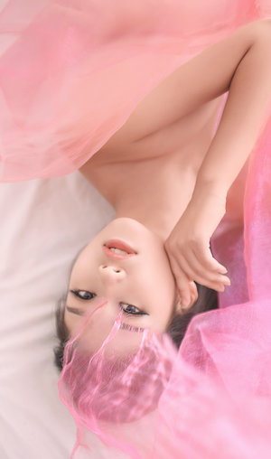 白莲花的上位(NP)作者简介